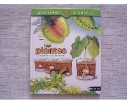 Les plantes- Questions-réponses 6-9 ans