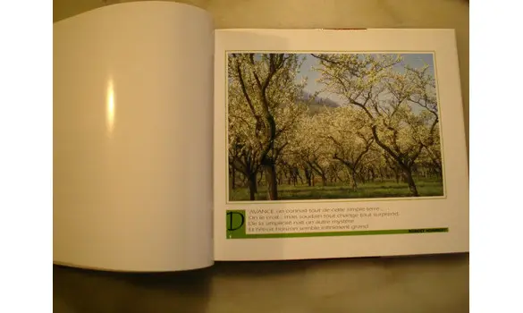 Sion ou quatre saisons/Gaston Delaunay