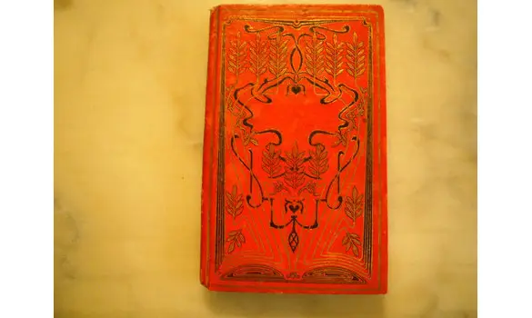 La fille aux pieds nus/Auerbach