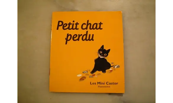 Petit chat perdu Les mini-castor