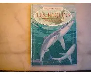 Les requins torpilles et raies/Stonehous