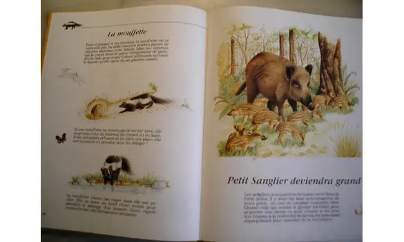 Mamans et bébés animaux de la forêt