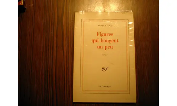 Figures qui bougent/James Sacré