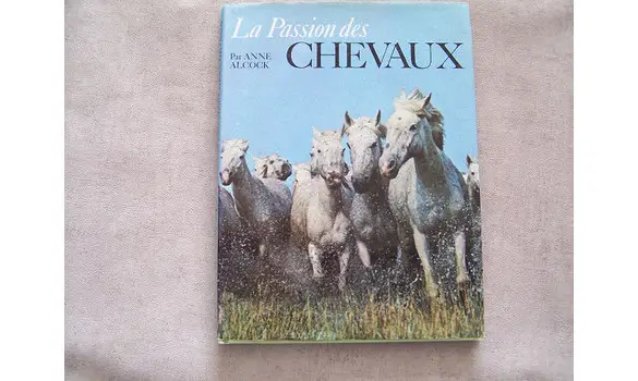 La passion des chevaux