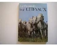 La passion des chevaux