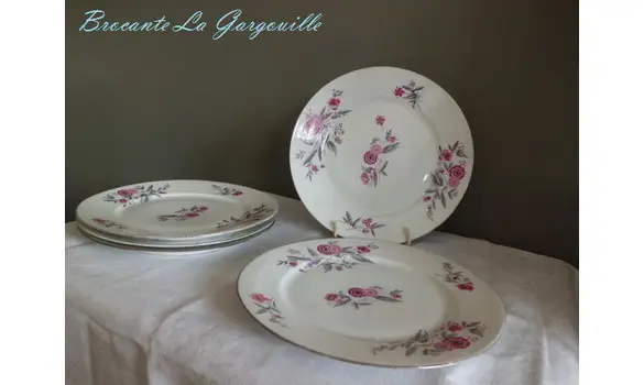 Assiettes Porcelaine de Limoges