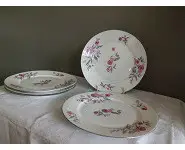 Assiettes Porcelaine de Limoges