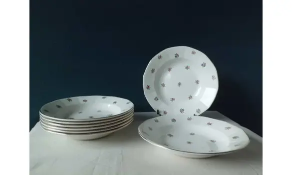 8 Assiettes à soupe Digoin Sarreguemines