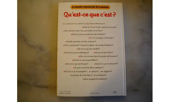 Qu'est-ce que c'est? Questions réponses