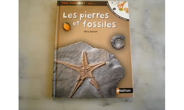 Les pierres et fossiles Tout s'explique