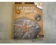 Les pierres et fossiles Tout s'explique