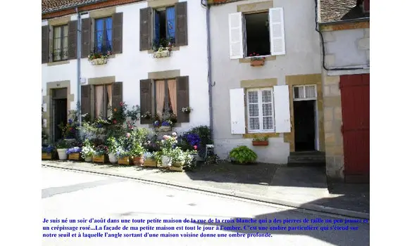 Livres Gallimard NRF