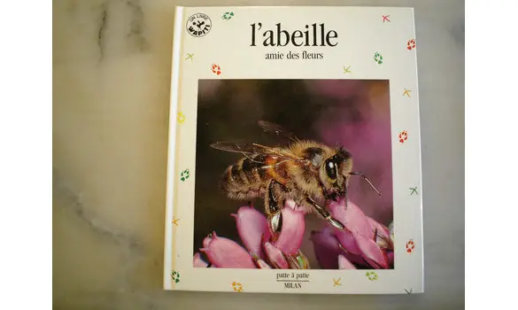 L'abeille amie des fleurs/patte à patte