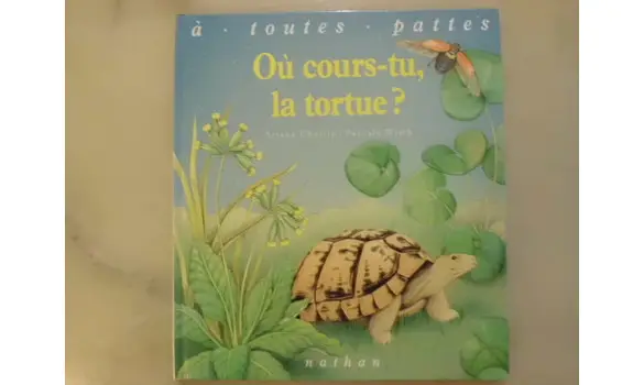 Où cours-tu la tortue?