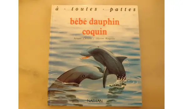 Bébé dauphin coquin/à toutes pattes