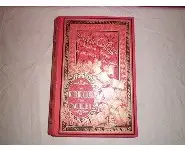 Le tour du globe d'un bachelier/Hetzel